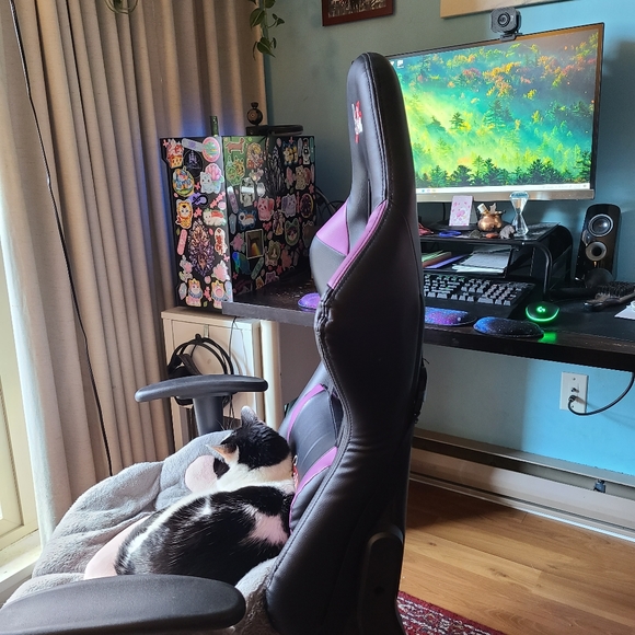 Meet your Posher, Avey - Picture 8 of 8